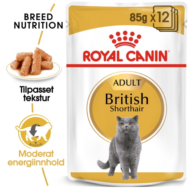 Hovedbilde British Shorthair Adult WET 12x85g.