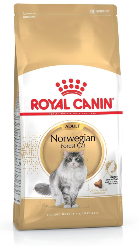 Hovedbilde Norwegian Forest Cat Adult