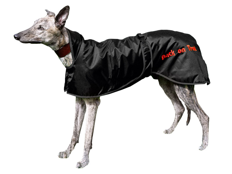 Hovedbilde Back on Track Greyhound