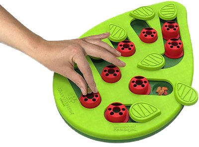 Hovedbilde Petstage buggin out, Puzzle and Play