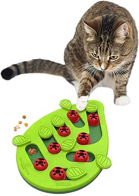 Hovedbilde Petstage buggin out, Puzzle and Play