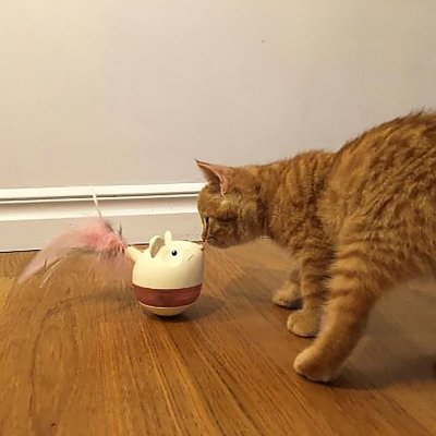 Hovedbilde Petstages Hunt ´n Swat Treat Tumbler
