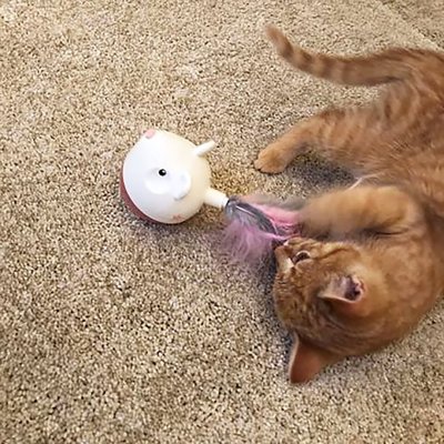 Hovedbilde Petstages Hunt ´n Swat Treat Tumbler