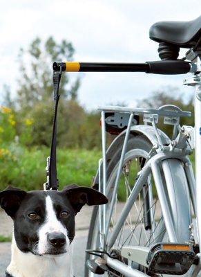 Hovedbilde Hands Free Doggy Bike Exerciser Leash