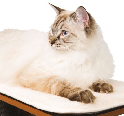 Hovedbilde Vesper Cat Kloremøbel V-High svart